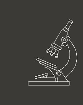 Microscopio derecho