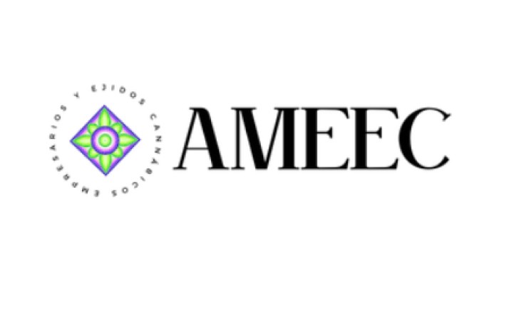 Logo AMEEC